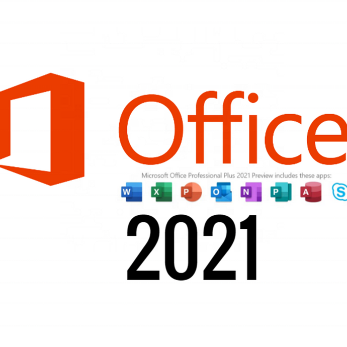 office 2021 pp 1 user